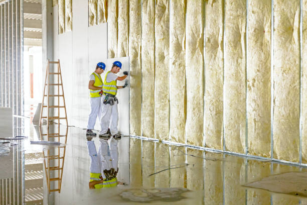 Best Blown-in Insulation  in Surgoinsville, TN